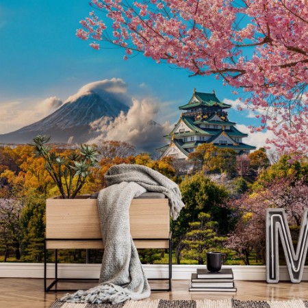 Picture of Osaka Castle