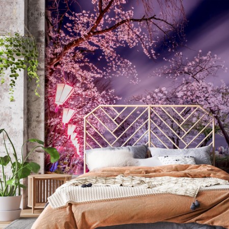 Picture of Tokyo kirsebærblomster om natten