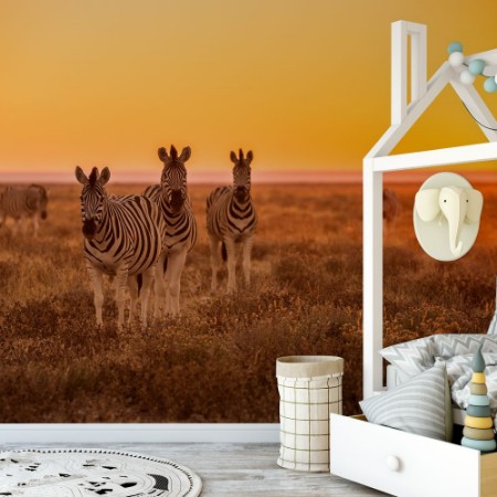 Picture of Herd of Zebra