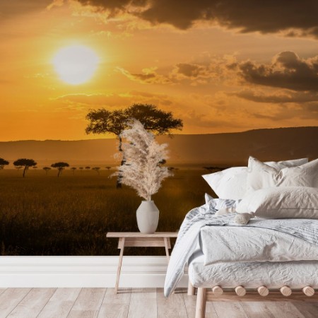 Image de Acacia Trees