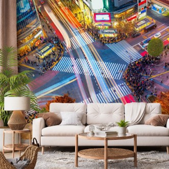 Picture of Shibuya Crossing