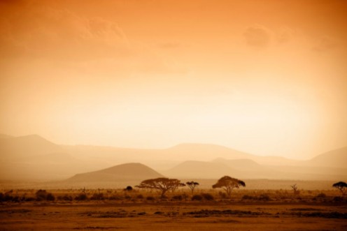 Image de African Savannah