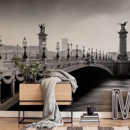 Bild på Alexander III Bridge