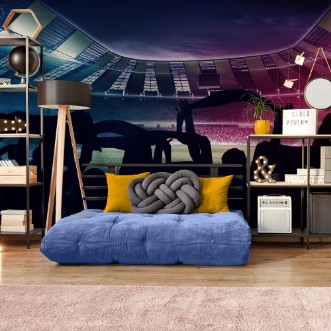 Image de Back View of Football