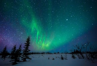 Bild von Aurora Borealis