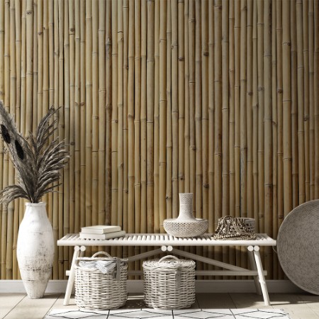 Afbeeldingen van Bambu