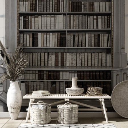 Bild på Admont bibliotek