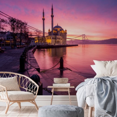 Picture of Mosque on Turkey