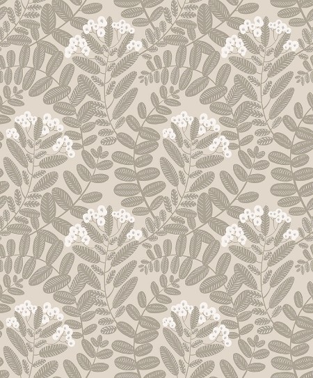 Bild på Bodie - YSA001