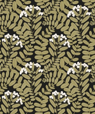 Picture of Bodie - YSA004