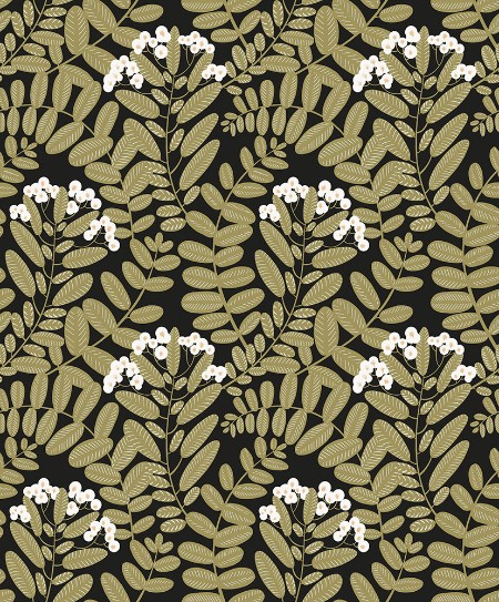 Bild på Bodie - YSA004