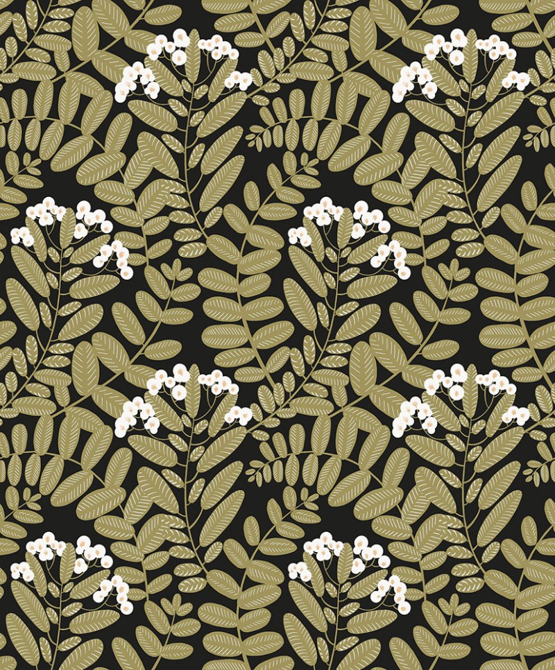 Picture of Bodie - YSA004