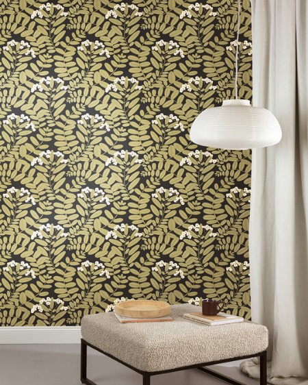 Bild på Bodie - YSA004