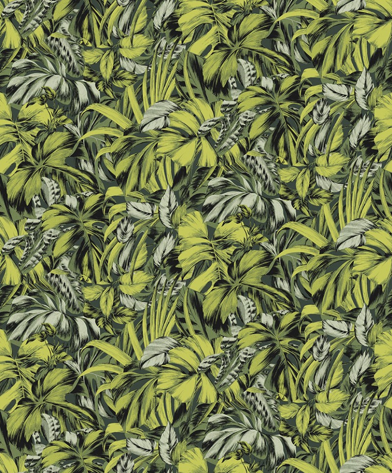 Picture of Bonita - ZEN102