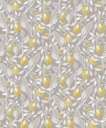 Bild på Illusions ILA103