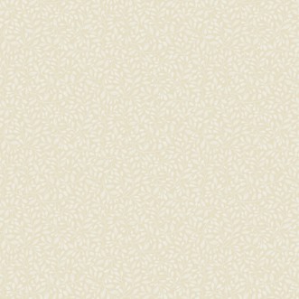 Bild på Adam - 12322