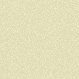 Picture of Adam - 12323