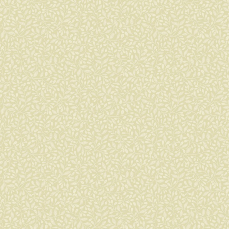 Picture of Adam - 12323