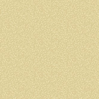 Picture of Adam - 12324