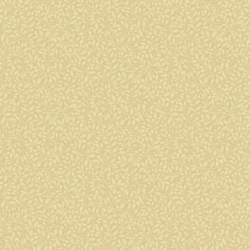 Picture of Adam - 12324