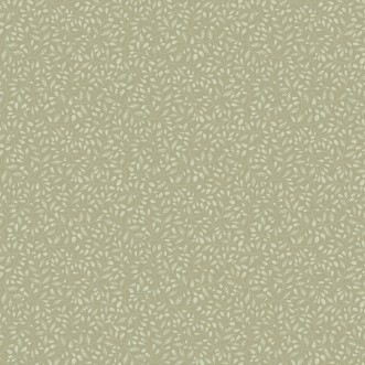 Picture of Adam - 12325