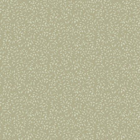 Bild på Adam - 12325