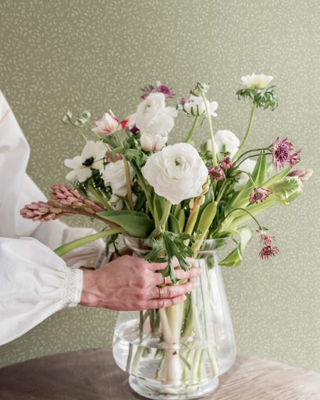 Bild på Adam - 12325