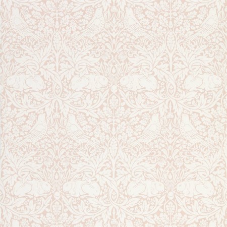 Image de Pure Brer Rabbit Faded Sea Pink - DMPN216533-OUTLET