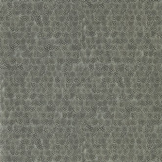 Picture of Guinea - ZKEM312648-OUTLET