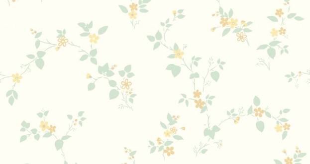 Bild på Klematis - 333-03-OUTLET