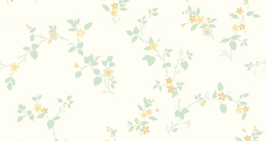 Picture of Klematis - 333-03-OUTLET