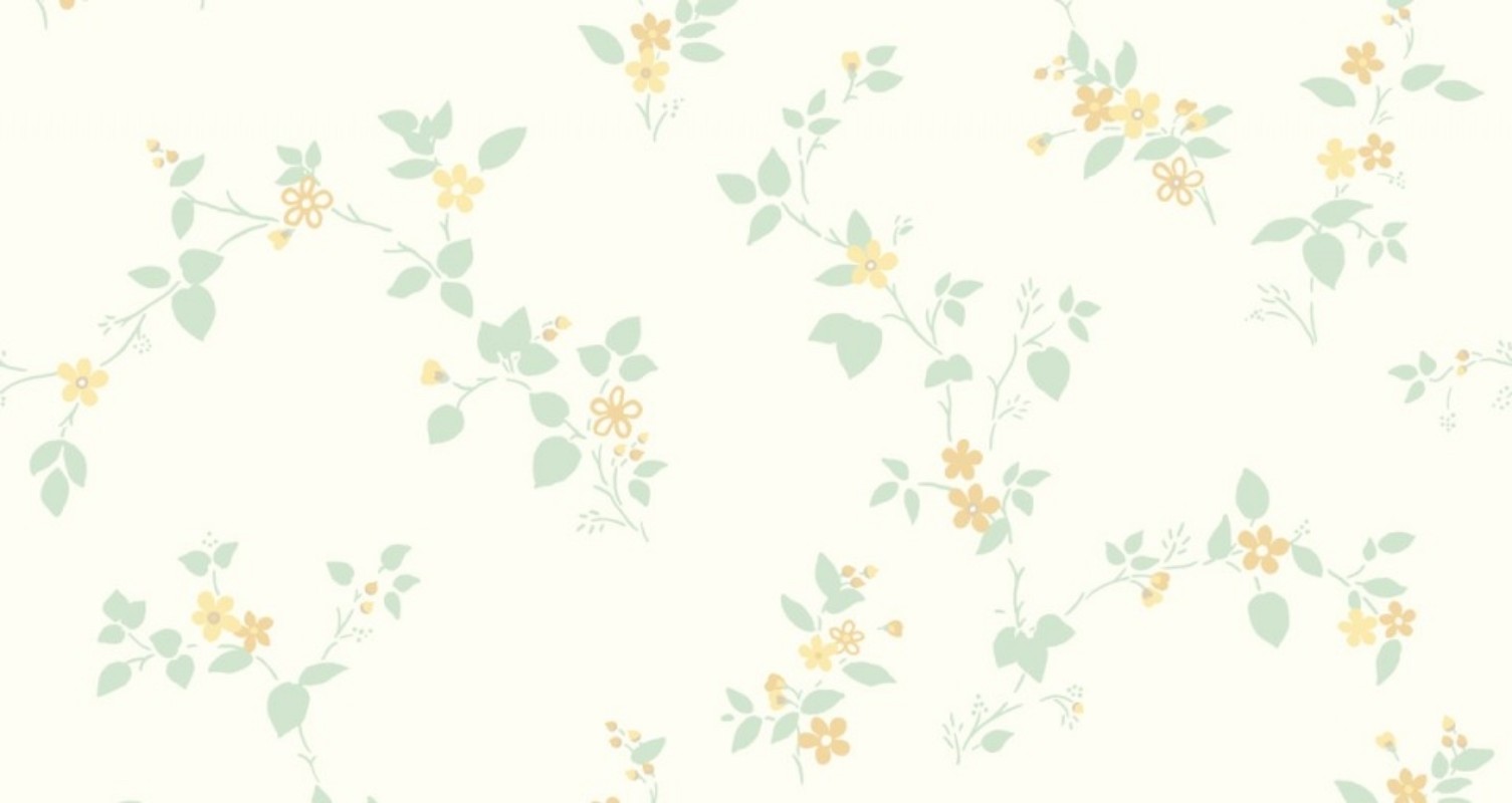 Picture of Klematis - 333-03-OUTLET