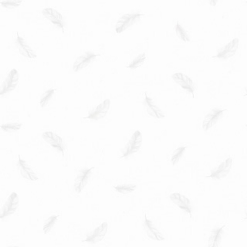 Bild på Feathers - 5269-OUTLET