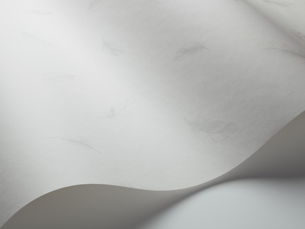 Bild på Feathers - 5269-OUTLET