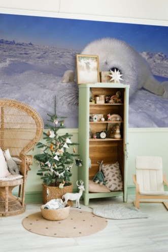 Picture of Seal pups --