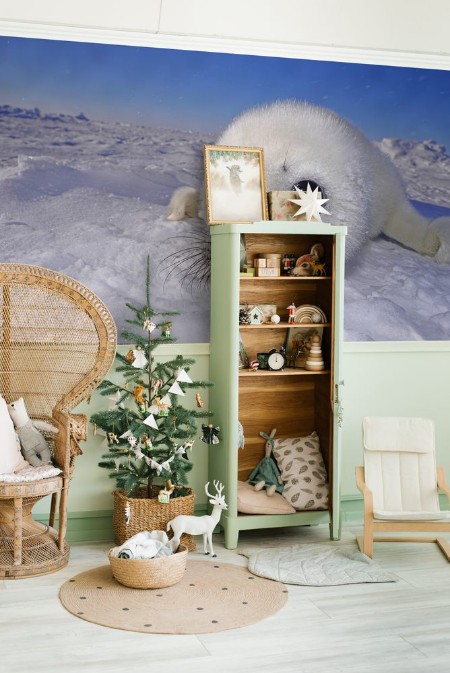 Afbeeldingen van Seal pups --