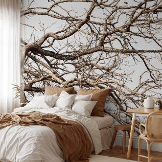 Picture of Tree twigs with bare trunks and branches