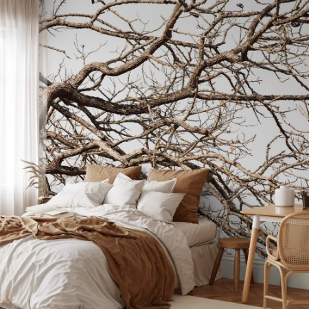 Picture of Tree twigs with bare trunks and branches