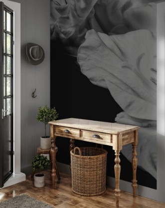 Picture of Black and white gladiolus