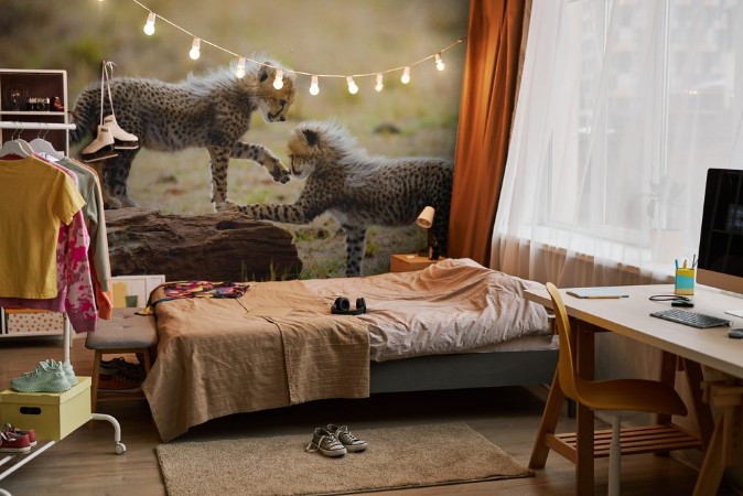 Picture of Cheetah cubs play with each other in the savannah Kenya Tanzania Africa National Park Serengeti Maasai Mara An excellent illustration