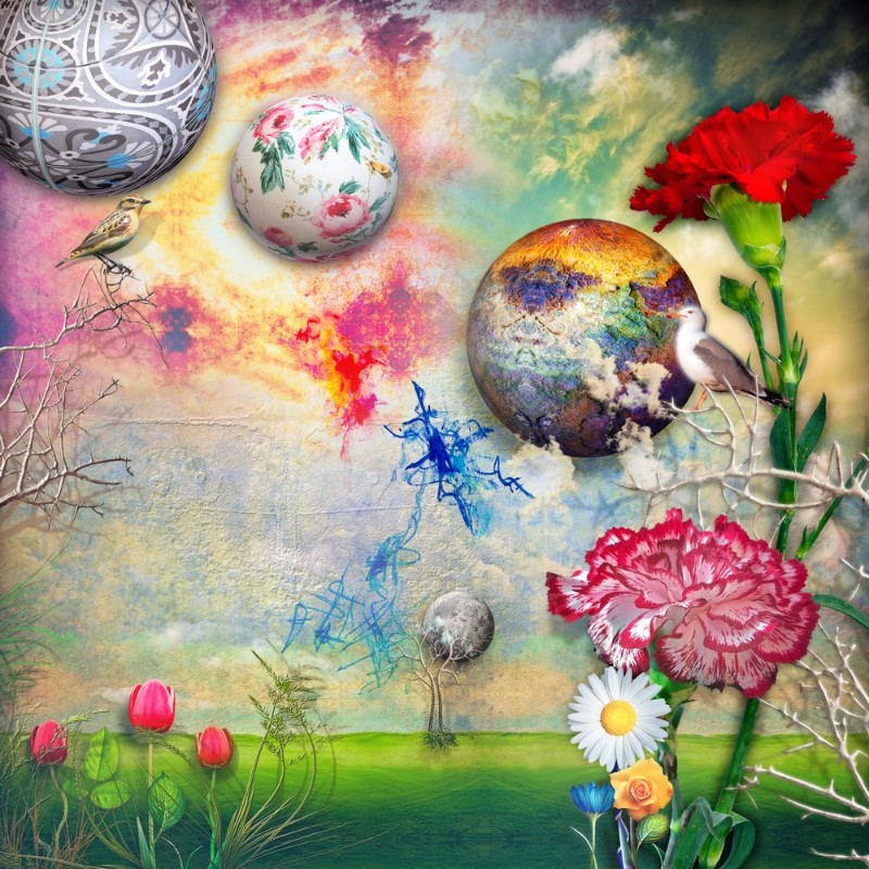 Picture of Green field with tulips and carnations flowers