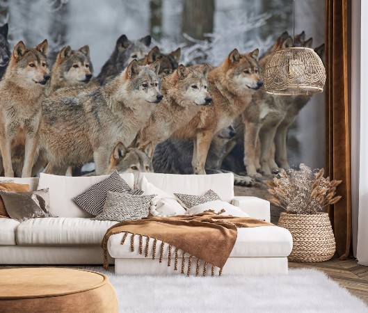 Picture of Wolfpack in Winter