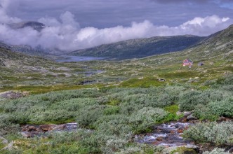 Obrazek Hardangervidda