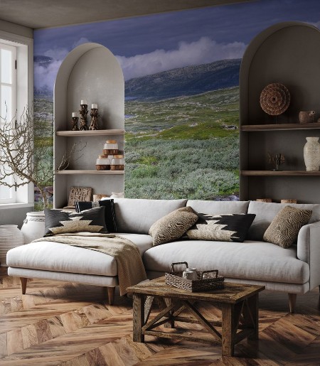 Picture of Hardangervidda