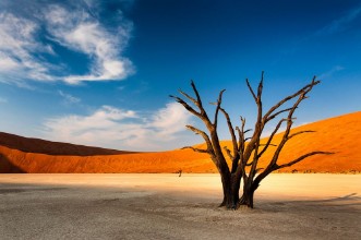 Bild von Isolated