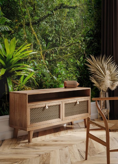 Afbeeldingen van Podocarpus