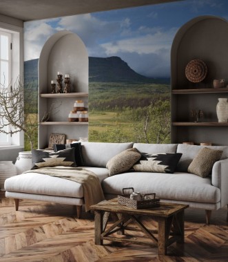 Image de View on subarctic tundra and beech forest in Swedish Lapland