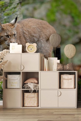 Afbeeldingen van Walking eurasian wild cat Lynx on green moss stone in green forest in background