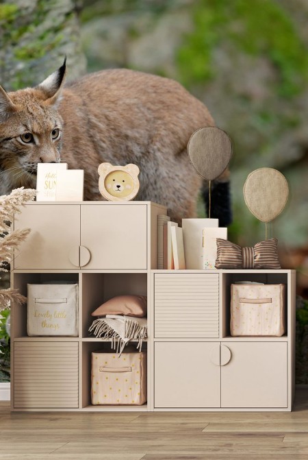 Afbeeldingen van Walking eurasian wild cat Lynx on green moss stone in green forest in background