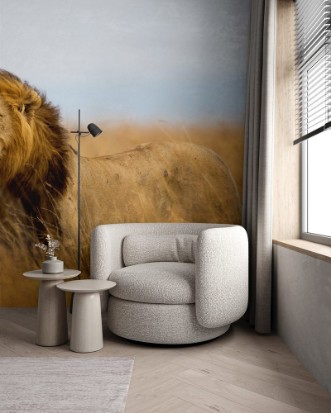 Afbeeldingen van Mighty Lion watching the lionesses who are ready for the hunt in Masai Mara Kenya